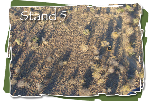 Stand 5